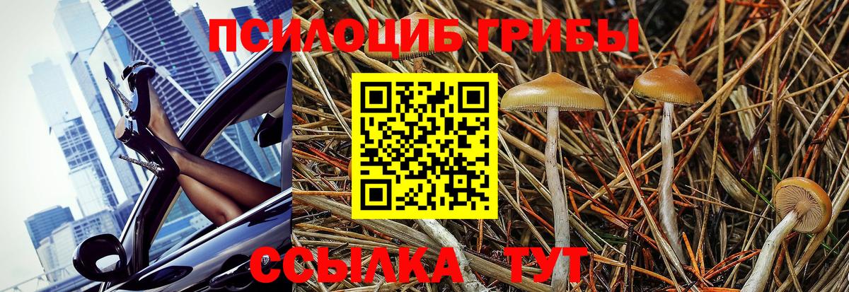 Псилоцибиновые грибы мухоморы Глазов